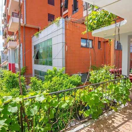 Auberge de jeunesse Siesta - Center Shkodër