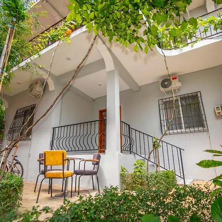 Auberge de jeunesse Siesta - Center *